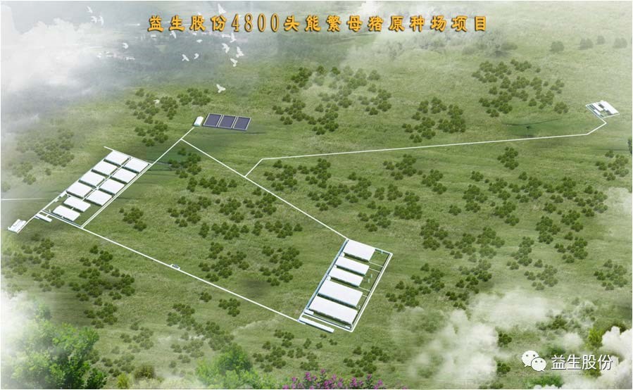 【喜讯】黑龙江918博天堂种猪繁育有限公司原种猪场建设项目开工