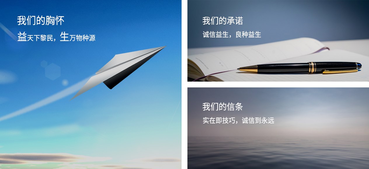 博天堂(918)官方网站 - 让你更精彩