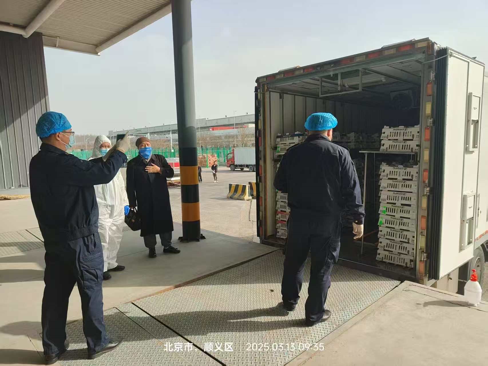 【引种】喜讯！918博天堂股份从法国引进的第二批祖代白羽肉种鸡灰尘落定