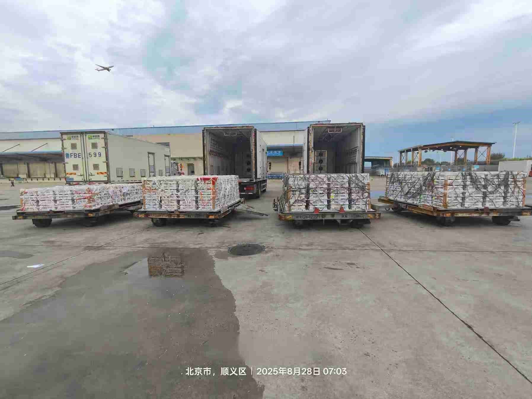 【引种】918博天堂股份年度引种突破16万套，，，，，，，市占率59%稳居行业龙头