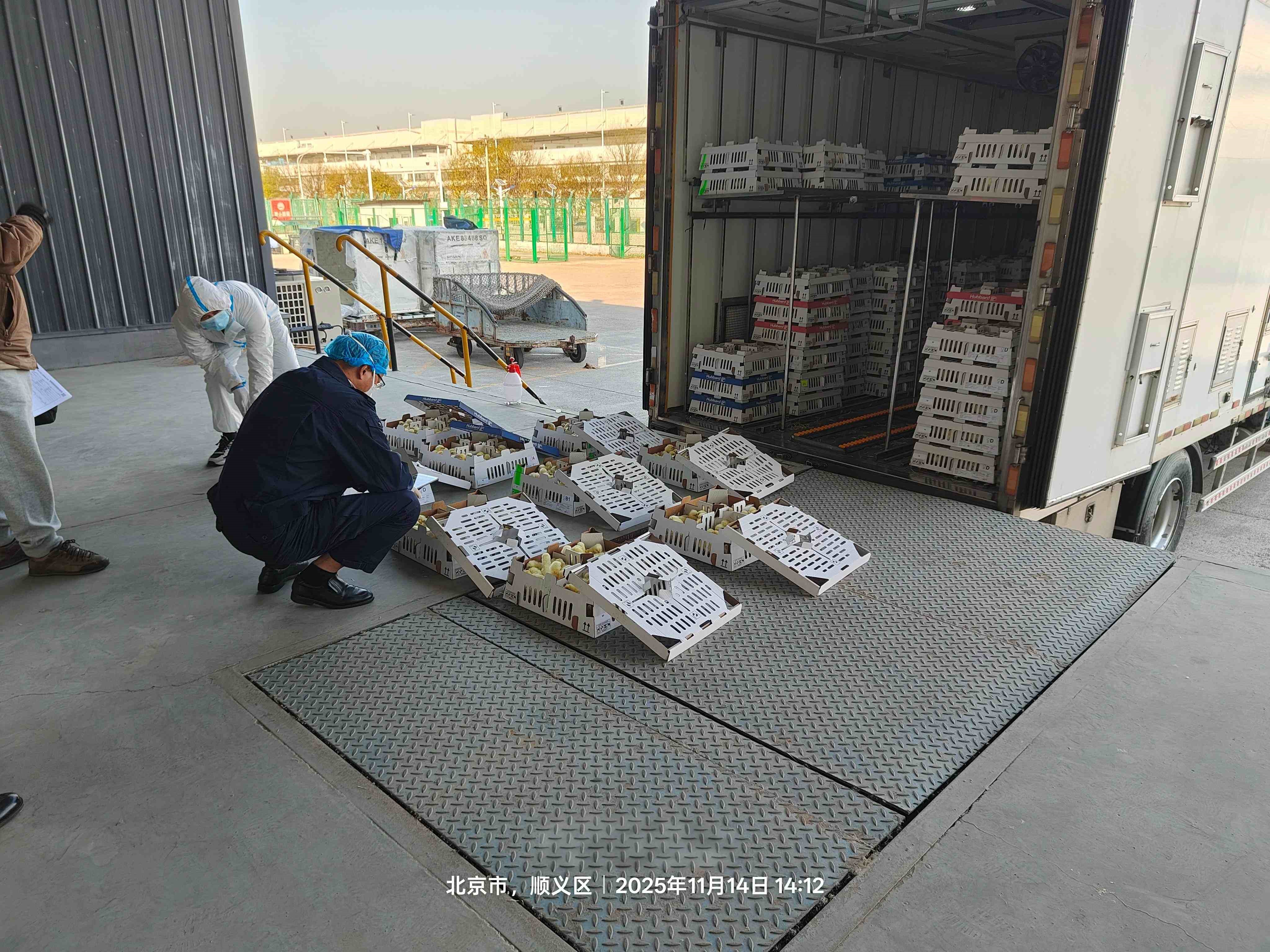 【喜讯】918博天堂股份再引种1.6万套祖代肉种鸡，，，，，，，引种总量突破23.6万套