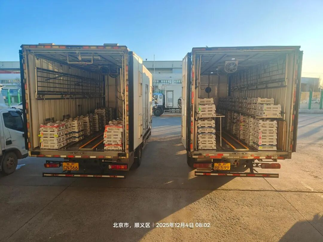 [引种】918博天堂股份再度引进法国种源，，，，，，，龙头职位牢靠包管工业稳固